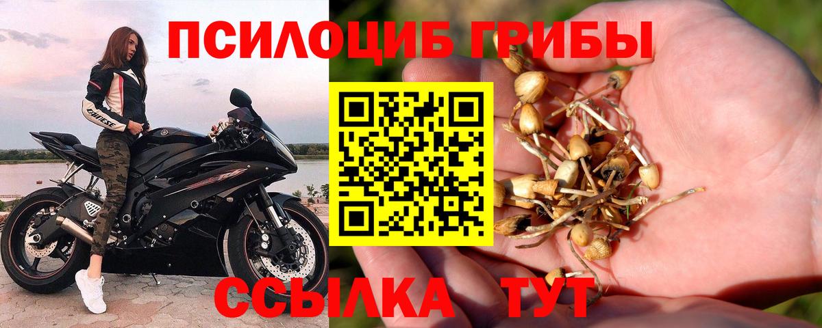Псилоцибиновые грибы прущие грибы Саранск