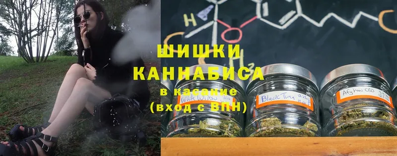 как найти наркотики  Саранск  Шишки марихуана White Widow 