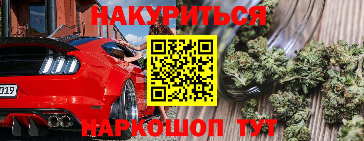 Бошки Шишки White Widow  Каннабис семена  Шишки марихуана семена  Саранск  Вход с VPN 